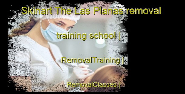 Skinart The Las Planas removal training school | RemovalTraining | RemovalClasses | SkinartTraining-Mexico